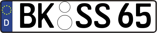 BK-SS65