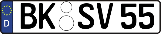 BK-SV55