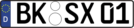 BK-SX01