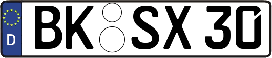 BK-SX30