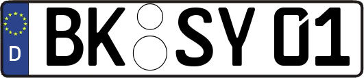 BK-SY01