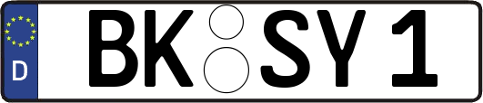 BK-SY1