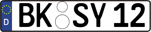 BK-SY12