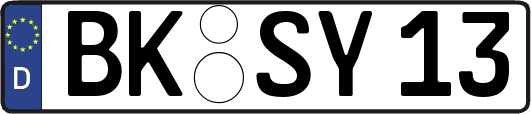 BK-SY13