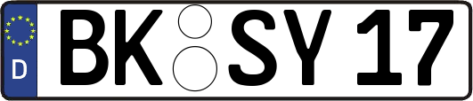 BK-SY17