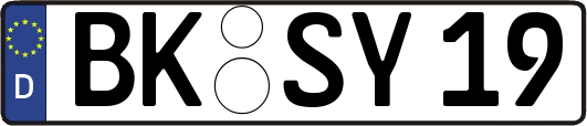 BK-SY19