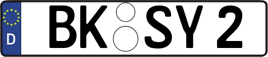 BK-SY2