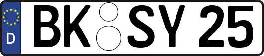 BK-SY25