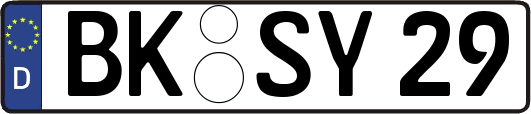 BK-SY29