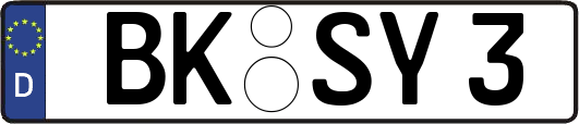BK-SY3