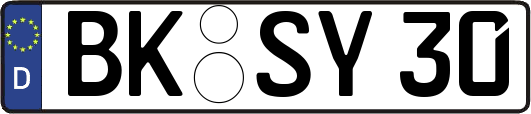 BK-SY30