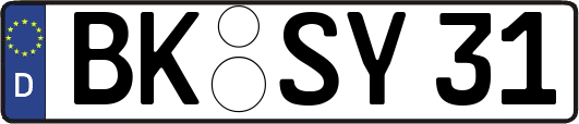 BK-SY31