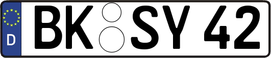 BK-SY42