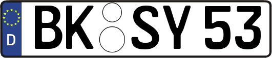 BK-SY53