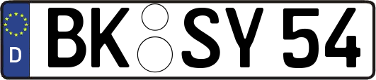 BK-SY54