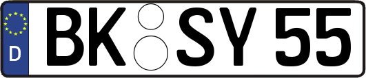 BK-SY55