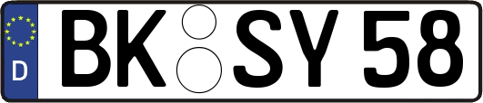 BK-SY58