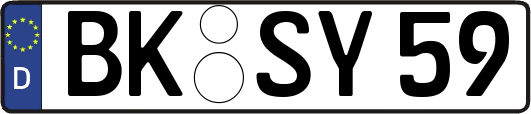 BK-SY59