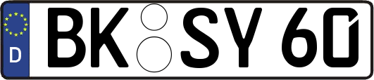 BK-SY60
