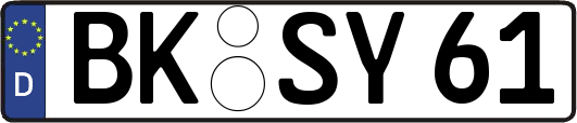 BK-SY61