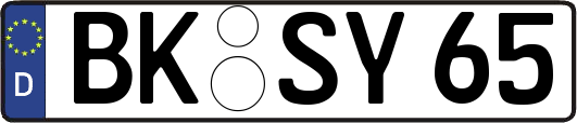 BK-SY65
