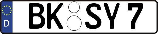 BK-SY7