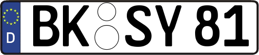 BK-SY81