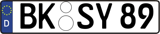 BK-SY89
