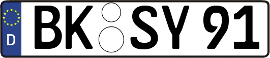 BK-SY91