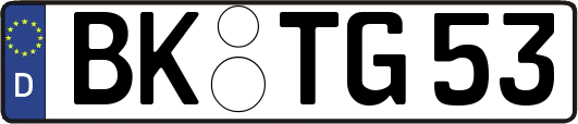 BK-TG53