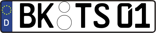 BK-TS01