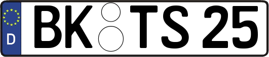 BK-TS25