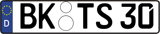 BK-TS30