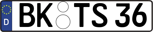 BK-TS36
