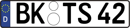BK-TS42