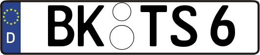 BK-TS6