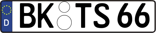 BK-TS66