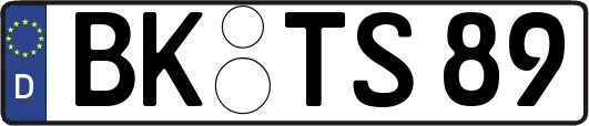 BK-TS89