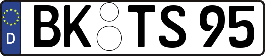 BK-TS95