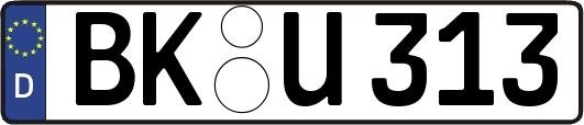 BK-U313