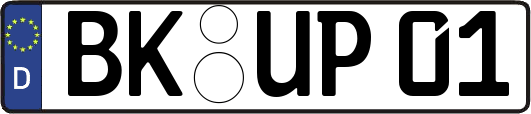 BK-UP01