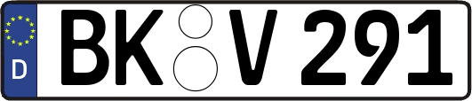 BK-V291