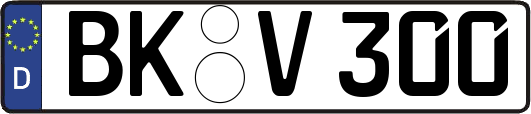 BK-V300