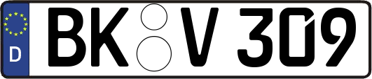 BK-V309
