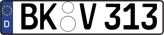 BK-V313