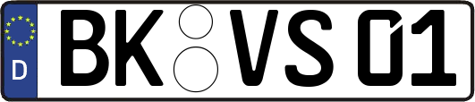 BK-VS01
