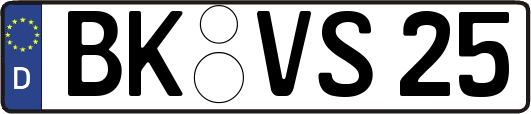 BK-VS25