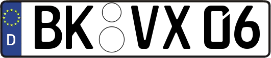 BK-VX06