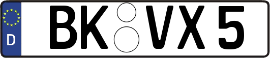 BK-VX5