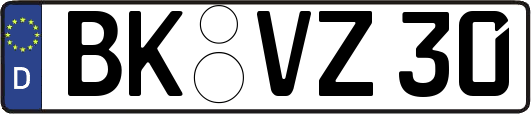 BK-VZ30